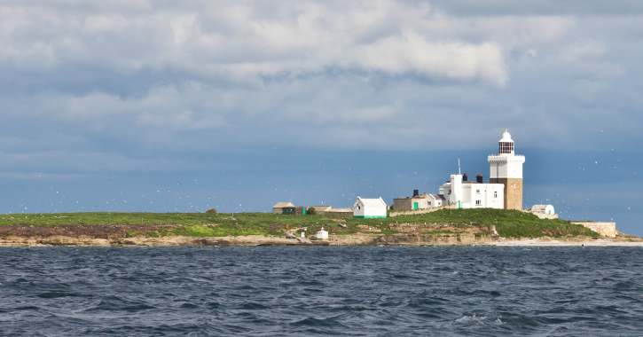 Birds flying around at Coquet Island. Blue sky with cloud