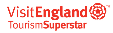 Tourism Superstar logo