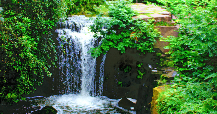 Waterfall at Jesmond Dene