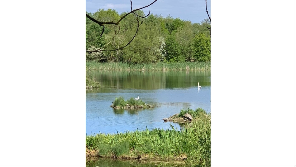 Rainton Meadows Nature Reserve and Visitor Centre - This is Durham