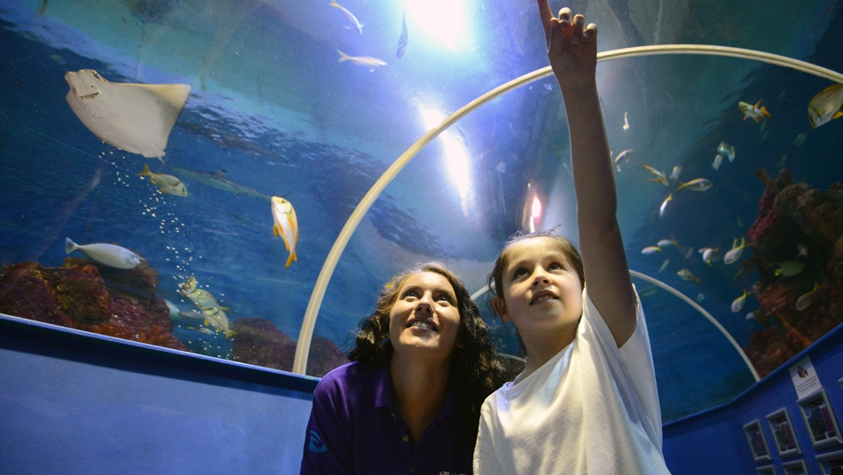 Tynemouth Aquarium - Northern Saints