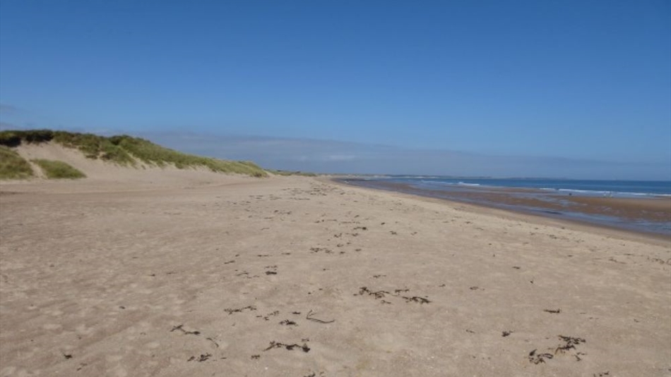 Cresswell Beach - Northern Saints